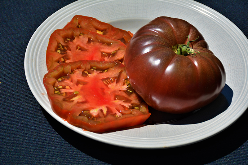 Cherokee Purple Tomato (Solanum lycopersicum 'Cherokee Purple') at C & S Country Gardens